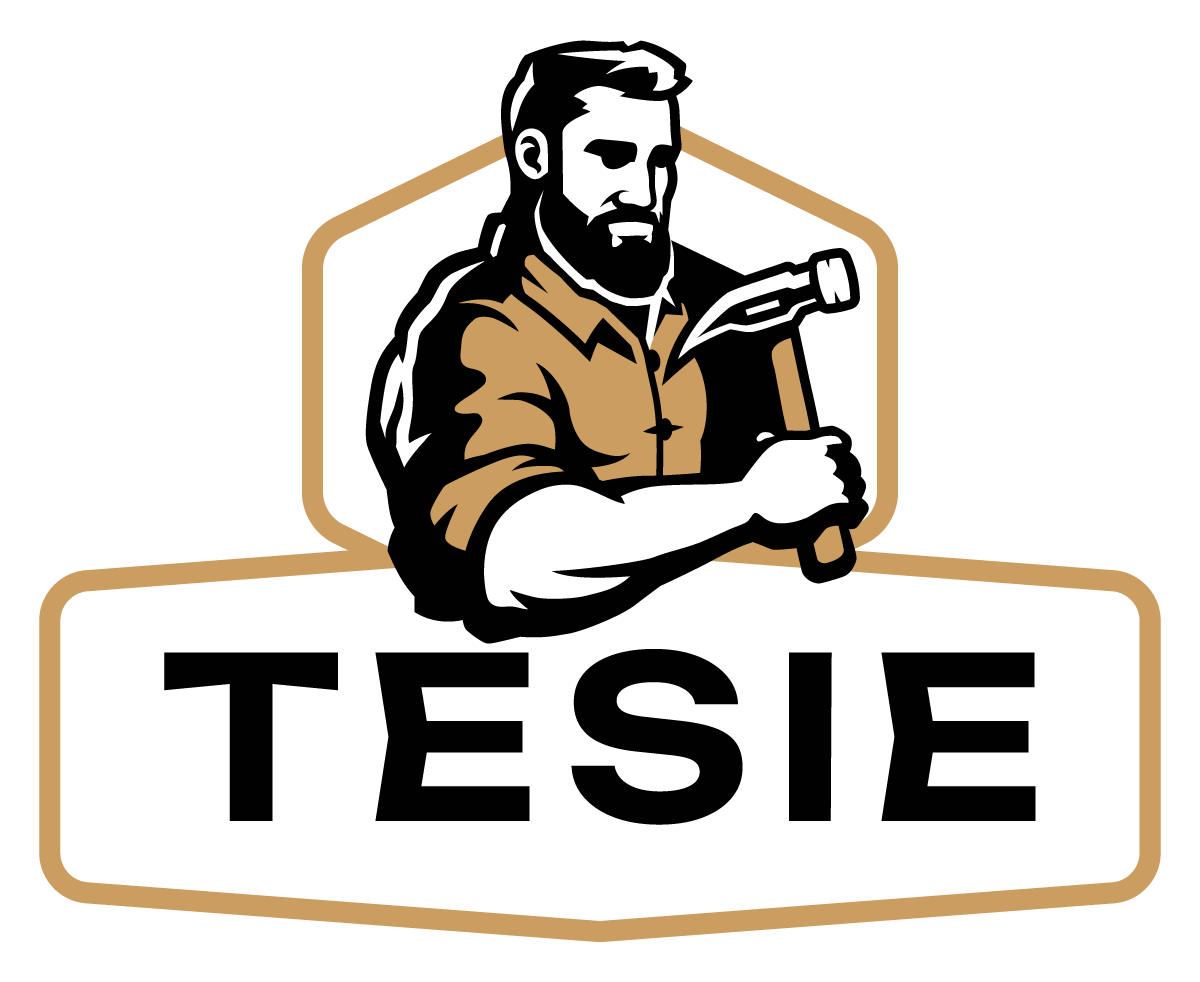 TESIE logo